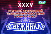 В Октябрьском районе пройдет юбилейный XXXV открытый традиционный новогодний турнир по боксу «Снежинка»