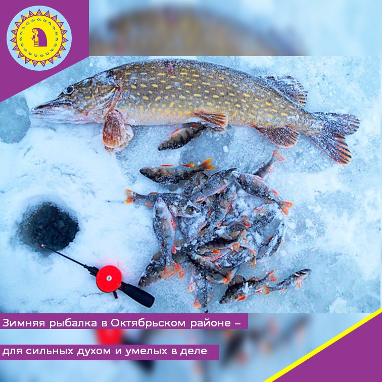 Зимняя рыбалка на всю рыбу: советы, секреты и опыт