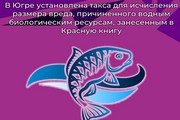 В Югре установлена такса для исчисления размера вреда, причиненного водным биологическим ресурсам, занесенным в Красную книгу