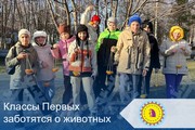 Классы Первых заботятся о животных