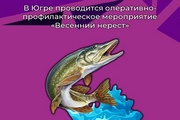 В Югре проводится оперативно-профилактическое мероприятие «Весенний нерест»