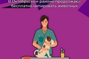 В Октябрьском районе продолжают бесплатно чипировать животных