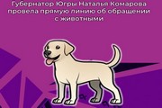 Губернатор Югры Наталья Комарова провела прямую линию об обращении с животными