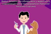 Вирус бешенства обнаружен у животного, содержащегося в микрорайоне Ламский поселка Сергино