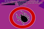 В Октябрьском районе количество человек, пострадавших от укусов клещей, возрастает