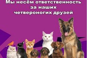 Мы несём ответственность за наших четвероногих друзей