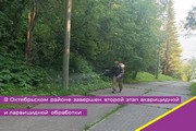 В Октябрьском районе завершен второй этап акарицидной и ларвицидной обработки