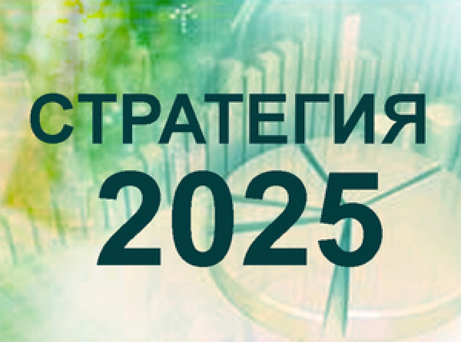 2025. 2025 Год. Стратегия 2025. 2025 Год.картинки. 2025 Год год чего.