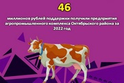Цифра дня: более 46 миллионов рублей поддержки получили предприятия агропромышленного комплекса Октябрьского района за 2022 год
