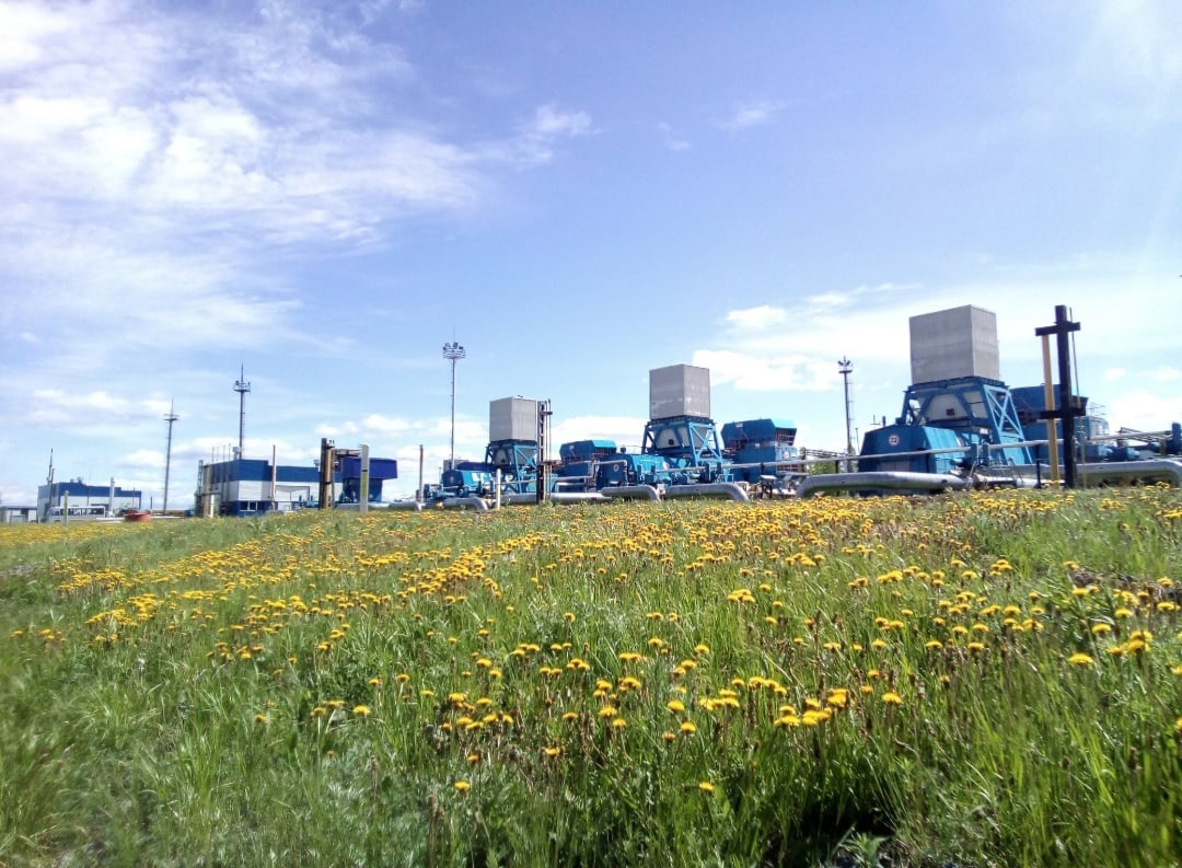 Сегодня Октябрьское линейное производственное управление магистральных  газопроводов ООО 