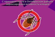 С приходом тепла в Октябрьском районе зафиксирована активность клещей