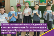 В рамках I зоозащитной акции домашних животных и животных без владельцев на территории Октябрьского района проходят "Уроки добра"