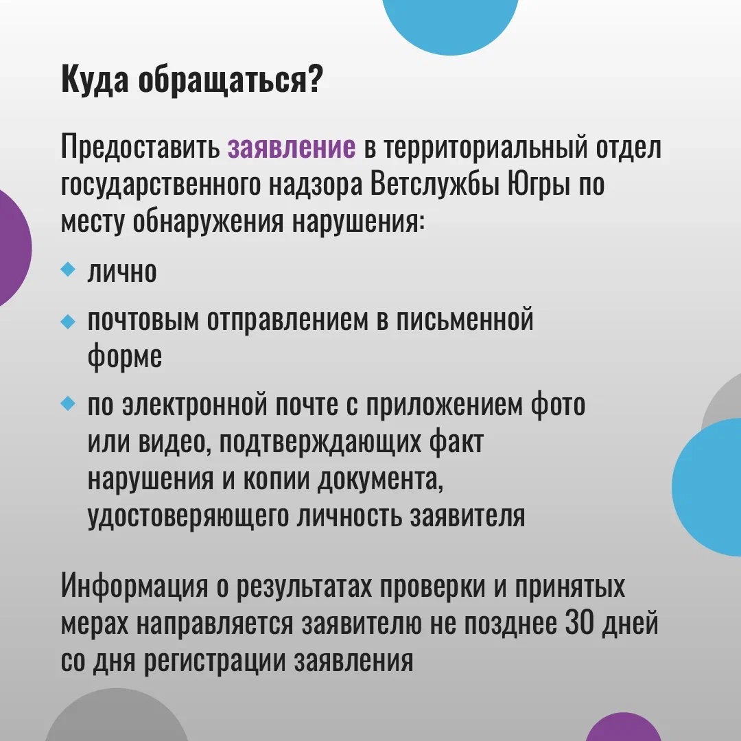 Югорчан поощрят за сообщение о нарушении владельцами домашних животных  требований к их содержанию и выгулу