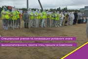 Специальные учения по ликвидации условного очага высокопатогенного гриппа птиц прошли в Советском