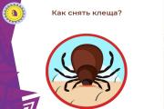 Во время майских гуляний и встреч с друзьями важно помнить, что с приходом тепла открывается и сезон клещей