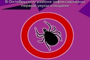 В Октябрьском районе зафиксированы первые укусы клещами