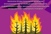 Жителям Югры полагается денежное вознаграждение за сообщение достоверной информации о лицах, виновных в возникновении ландшафтных (природных) пожаров