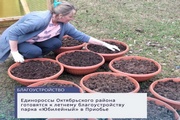 Единороссы Октябрьского района готовятся к летнему благоустройству парка «Юбилейный» в Приобье