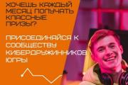 Кибердружинник Югры
