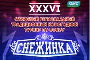 В Октябрьском районе пройдет XXXVI открытый региональный традиционный новогодний турнир по боксу «Снежинка»