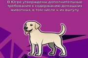 В Югре утверждены дополнительные требования к содержанию домашних животных, в том числе к их выгулу