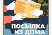 В честь празднования Дня защитника Отечества партия "Единая Россия" запускает акцию «Посылка из дома»