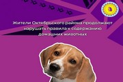 Жители Октябрьского района продолжают нарушать правила к содержанию домашних животных