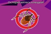 Остерегайтесь клещей!