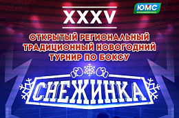 В Октябрьском районе пройдет юбилейный XXXV открытый традиционный новогодний турнир по боксу «Снежинка»