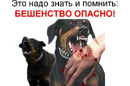 Вниманию жителей Октябрьского района содержащих домашних животных