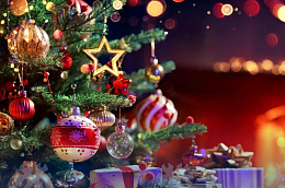 Вы уже решили как проведете новогодние каникулы?