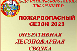 ЕДДС Октябрьского района информирует о лесном пожаре №28