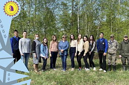 Жители Октябрьского района активно участвуют в Международной акции "Сад памяти"