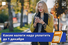 До 1 декабря нужно уплатить налоги за 2024 год