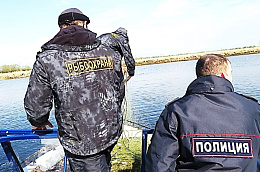 Профилактическое мероприятие «Всероссийский день без сетей»