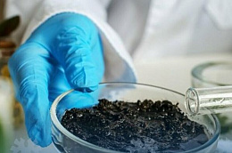 В Октябрьском районе проведен социально-гигиенический мониторинг качества почв на берегу водоемов