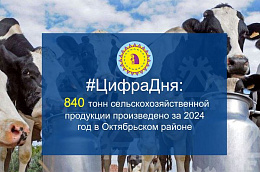 #ЦифраДня: 840 тонн сельскохозяйственной продукции произведено за 2024 год в Октябрьском районе