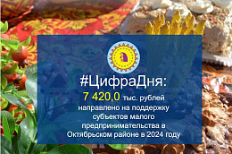 #ЦифраДня: 7 420,0 тыс. рублей направлено на поддержку субъектов малого предпринимательства в Октябрьском районе в 2024 году