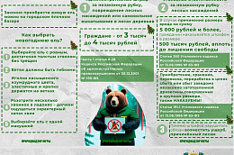 В Югре стартовала операция «Ель»