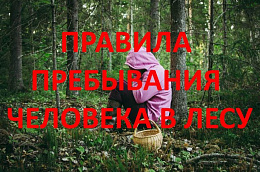 ЕДДС Октябрьского района информирует