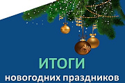 Муниципальный центр управления Октябрьского района подвел итоги новогодних праздников