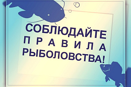 Вниманию рыбакам Октябрьского района 