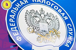 Стартовала декларационная кампания 2022 года