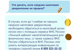 1 декабря 2023 года истекает срок своевременной уплаты имущественных налогов за 2022 год