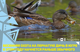 Весенняя охота на пернатую дичь в Югре в этом году начнется раньше обычного