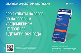 Срок уплаты имущественных налогов истекает 1 декабря 2021 года