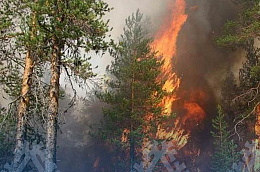 О ситуации с лесными пожарами в Октябрьском районе