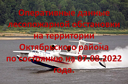 Оперативные данные лесопожарной обстановки на территории Октябрьского района по состоянию на 07.08.2022 года.