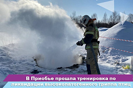 В Приобье прошла командно-штабная тренировка по ликвидации высокопатогенного гриппа птиц