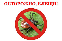 Осторожно, клещи!